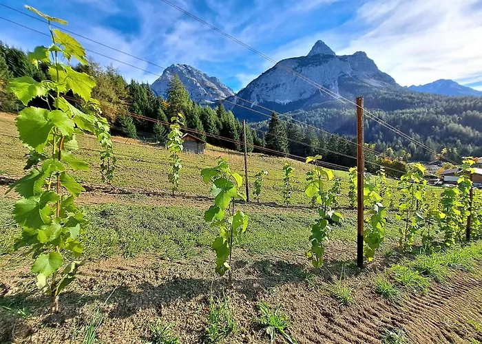 Der Trueferhof Appartement