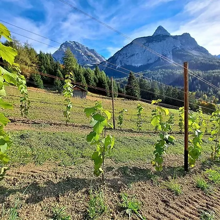 Der Trueferhof Apartmán