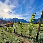Der Trueferhof